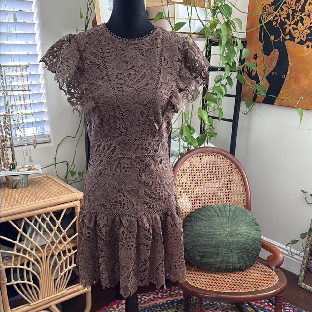 Express Cocoa Brown Lace Drop Waist Flutter Sleeve Romantic Goth Boho Mini Dress